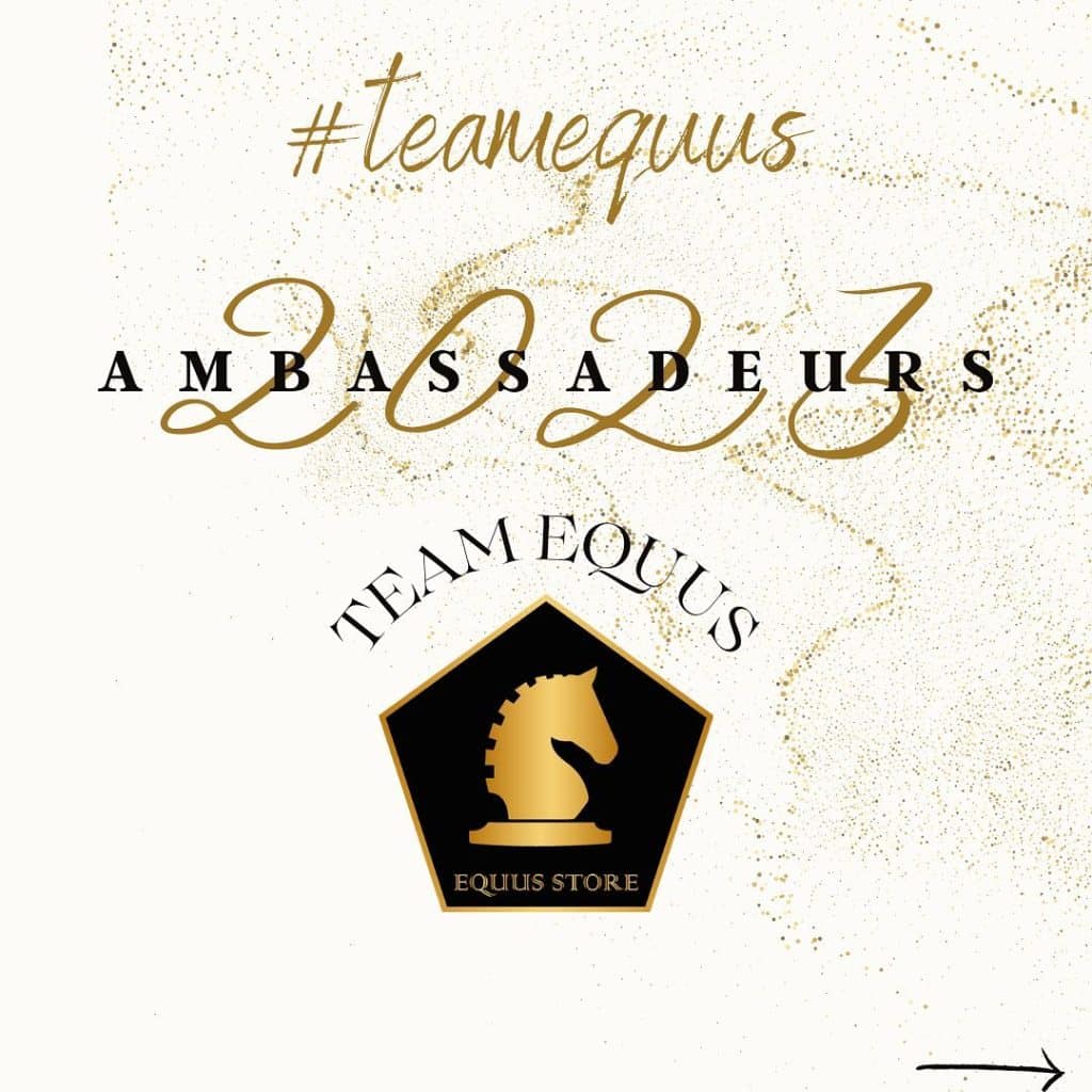 Matériel Équitation Poitiers - Équipement du Cheval