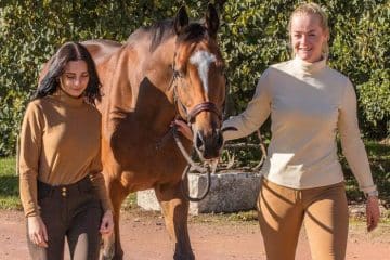 Équipement Équitation Poitiers - Équipement Équestre | Equus