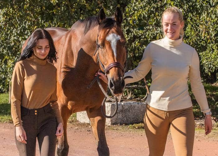Équipement Équitation Poitiers - Équipement Équestre | Equus